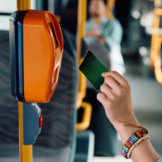 Public Transit Pass (1 Month)