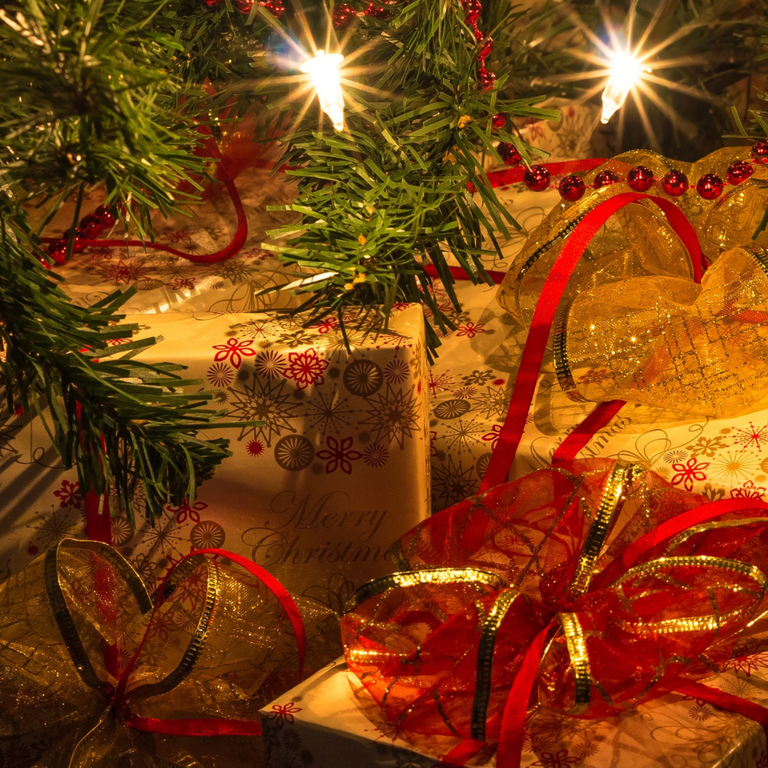 Present Under the Tree: Give the Gift of Wonder