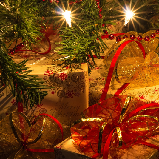 Present Under the Tree: Give the Gift of Wonder